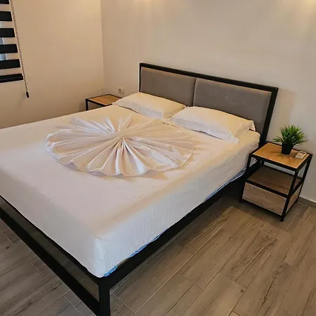 Apartment Arta *