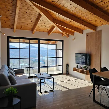 Apartment Arta *